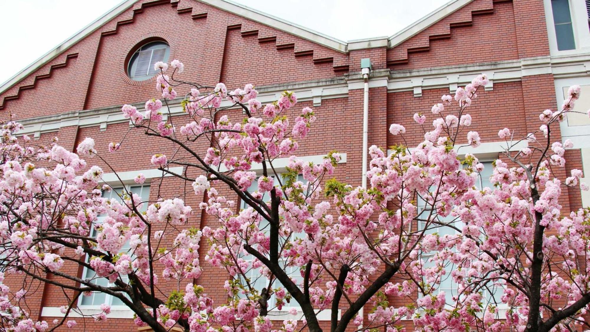 Toyoko Inn Osaka Kyobashi Sakuranomiya Exterior foto